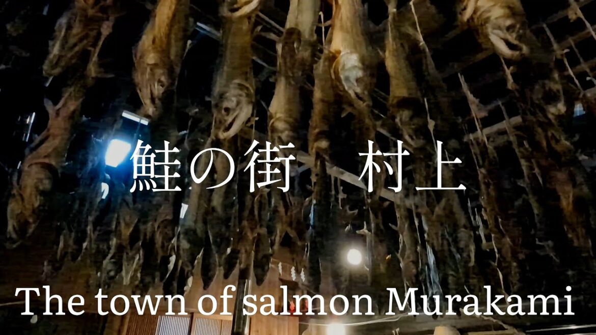 新潟県観光　鮭の街　村上　Niigata Prefecture Tourism: Salmon Town Murakami, Japan