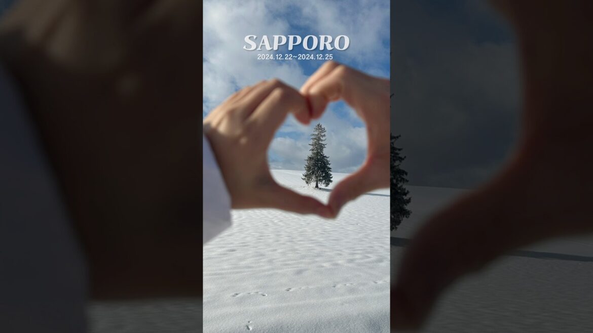 🎄크리스마스 삿포로 여행 릴스✈️