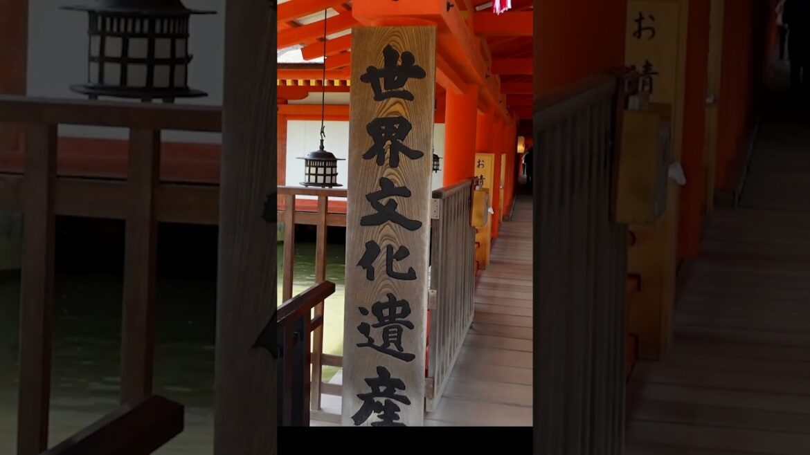Explore the STUNNING Beauty of Miyajima island #shorts #travelshorts #solotravel