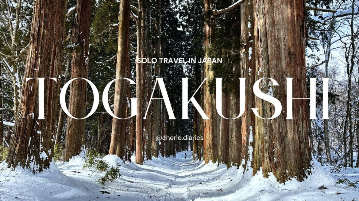 戸隠神社 ⛩️❄️ Winter hike to Togakushi Shrine tucked away in Nagano, Japan | Solo travels in Japan 戸隠神社 ⛩️❄️ Winter hike to Togakushi Shrine tucked away in Nagano, Japan | Solo travels in Japan