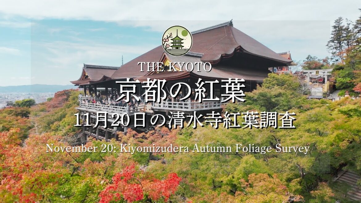【速報】11月20日(水)の清水寺の紅葉状況！京都の紅葉状況を最速でお届け！