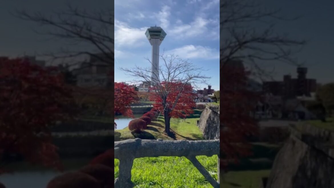 【HOKKAIDO】Must-See Tourist Attraction – Torapischinu Shudoin 【HOKKAIDO】Must-See Tourist Attraction - Torapischinu Shudoin