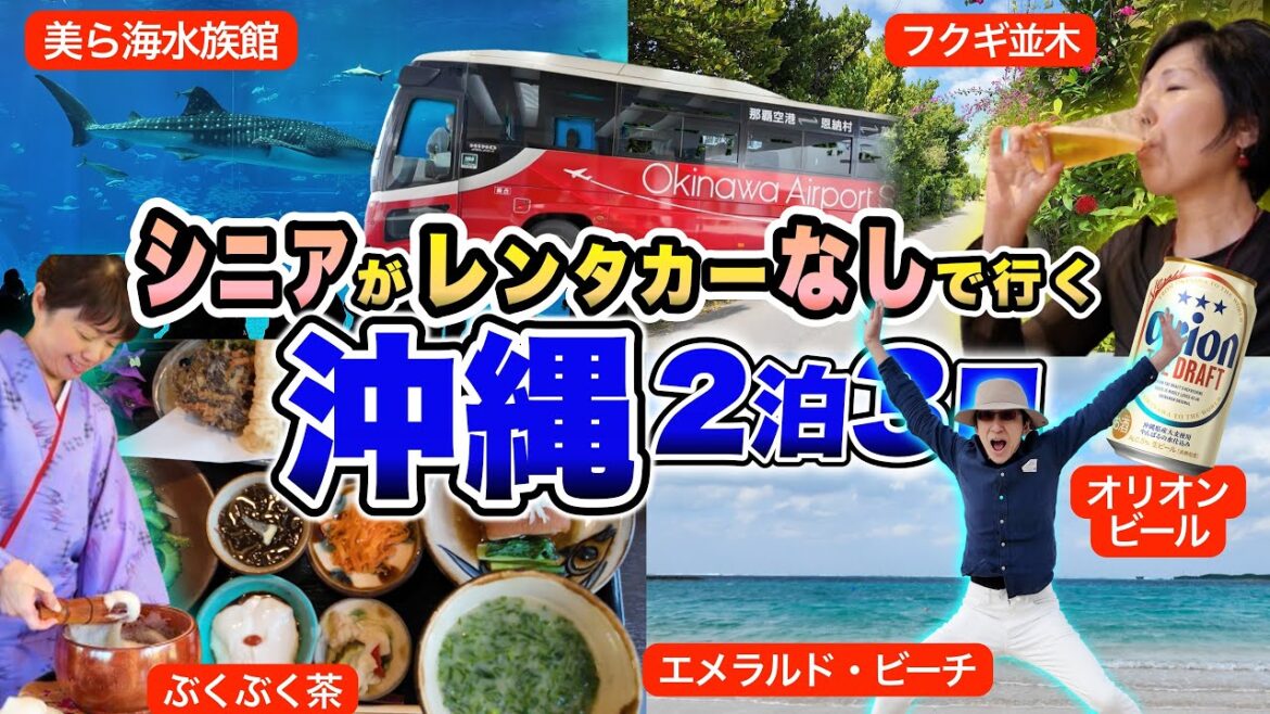 沖縄おとな旅👒これで決まり!レンタカーなしの 2泊3日シニア旅プラン! 沖縄おとな旅👒これで決まり!レンタカーなしの 2泊3日シニア旅プラン!