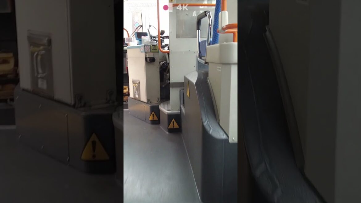 🇯🇵 Experience #Fukuoka in #Japan with us! #Shorts