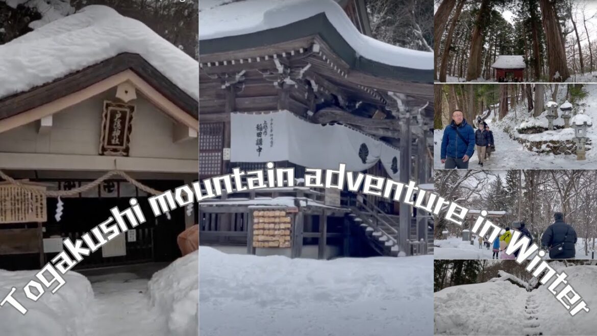 Togakushi mountain adventure in Winter|Togakushi Shrine|Hiking and Nature of Nagano prefecture Togakushi mountain adventure in Winter|Togakushi Shrine|Hiking and Nature of Nagano prefecture
