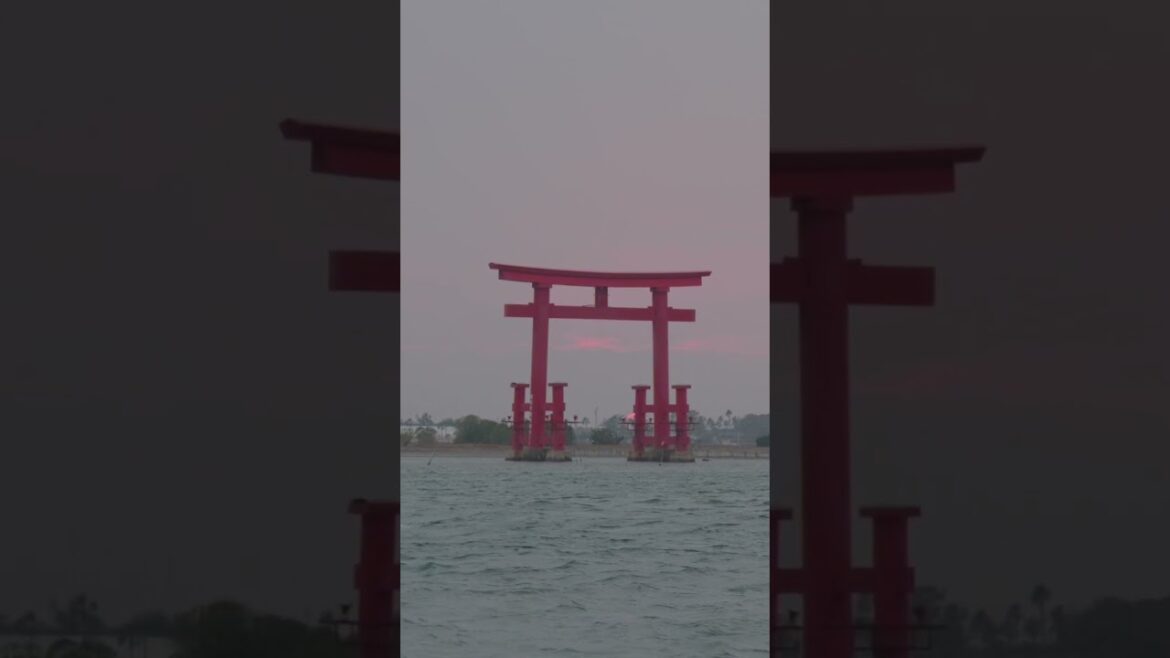 最後的日落與元旦日出，新年快樂