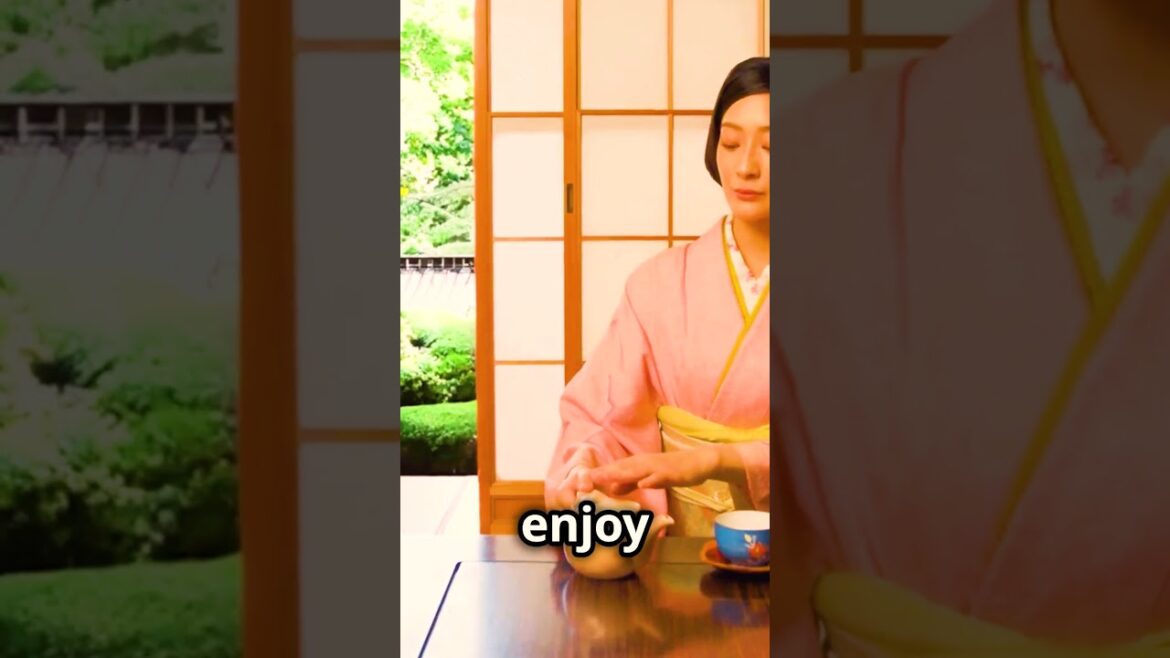 Japan, a land full of contrasts - Travel video 🌸🎌⛩️🍣🍜