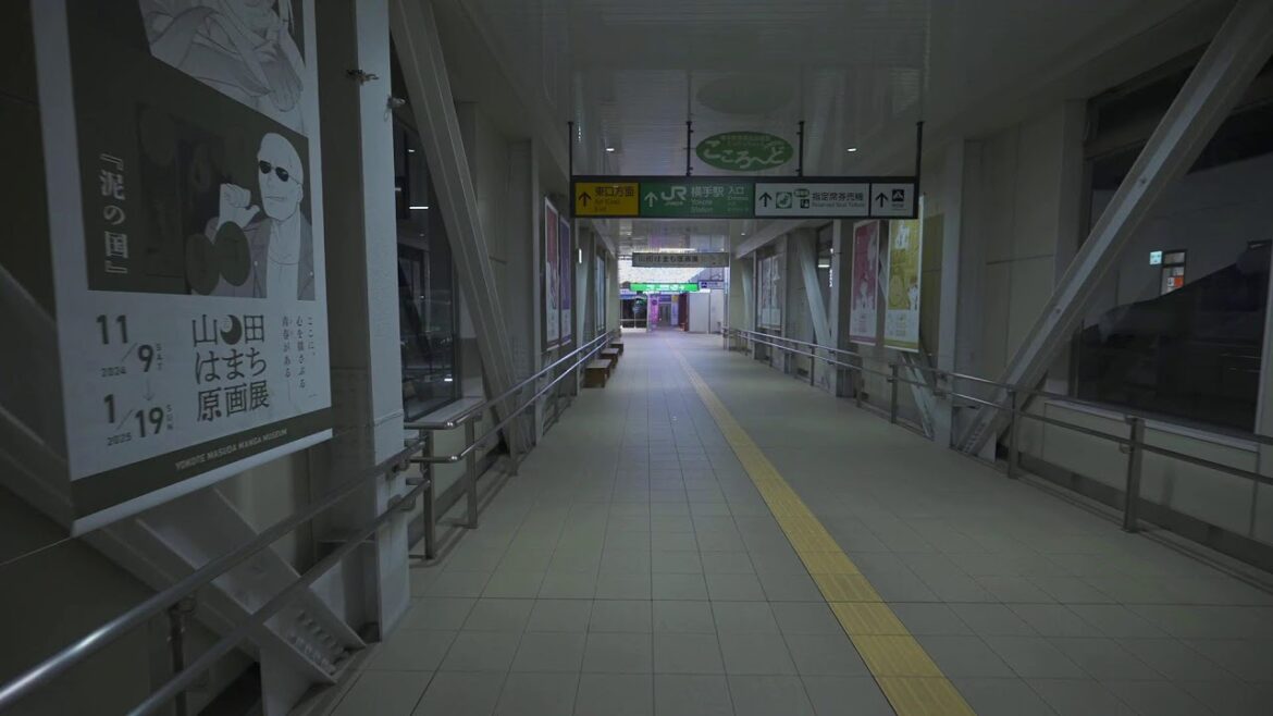 【4K Live】Akita prefecture Yokote city evening walk 【4K Live】Akita prefecture Yokote city evening walk