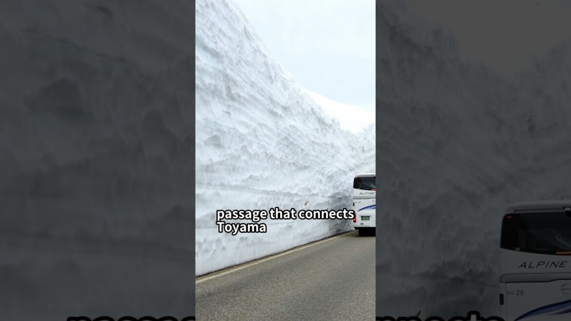 Discover Toyama: Japan's Hidden Gem of Nature and Tradition