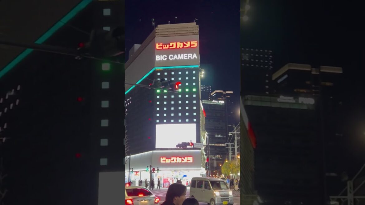 Street Crossing near BIC CAMERA Yurakucho