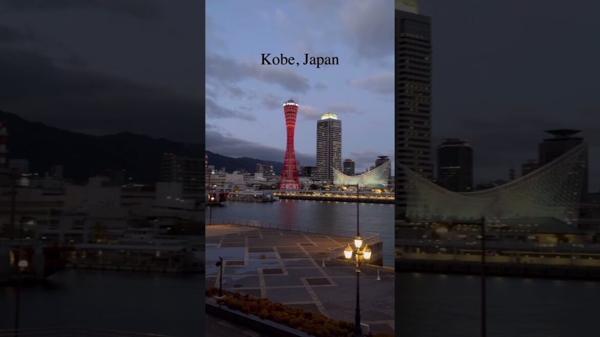 겨울 고베의 낮과 밤