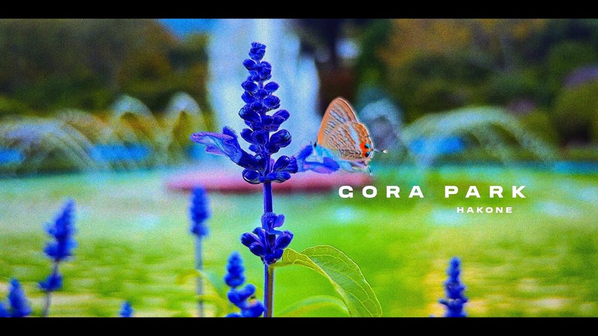 Gora Park • Hakone #japan Gora Park • Hakone #japan