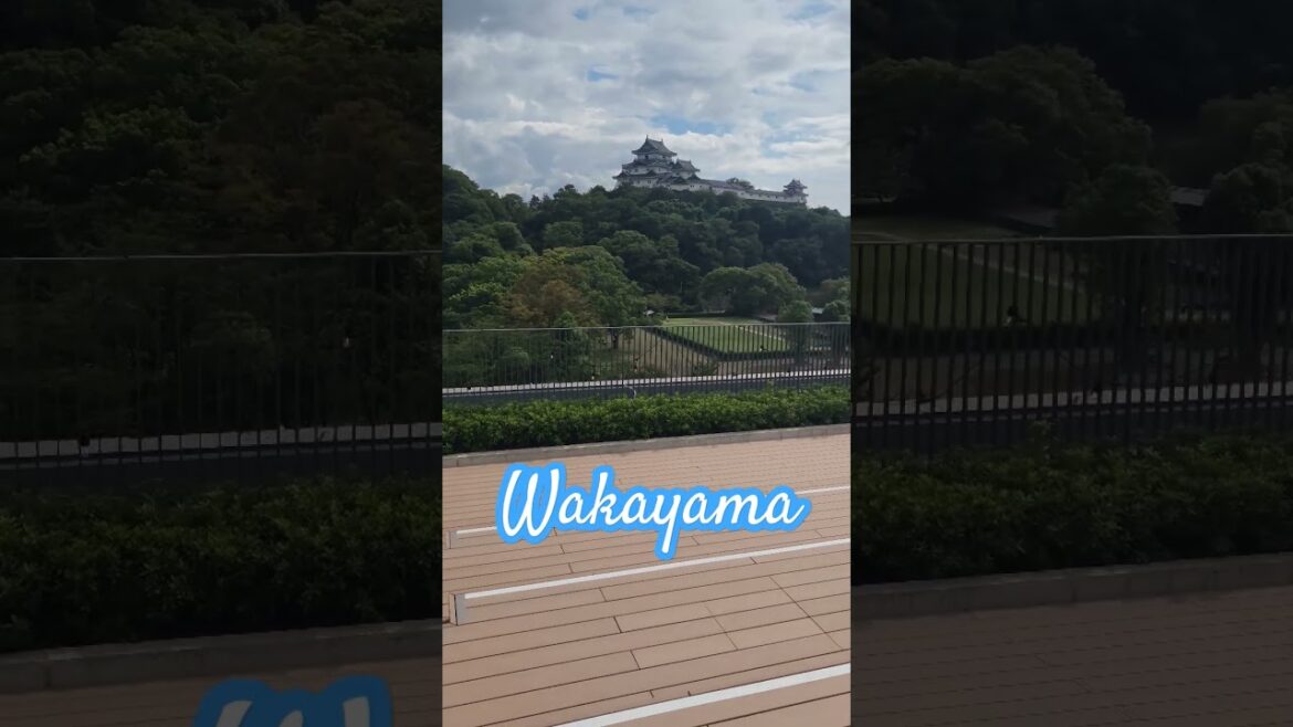 Wakayama, a city near Osaka. 오사카 근처 도시 와카야마. #WakayamaCastle #와카야마성 #和歌山城 #wakayamatravel #와카야마여행