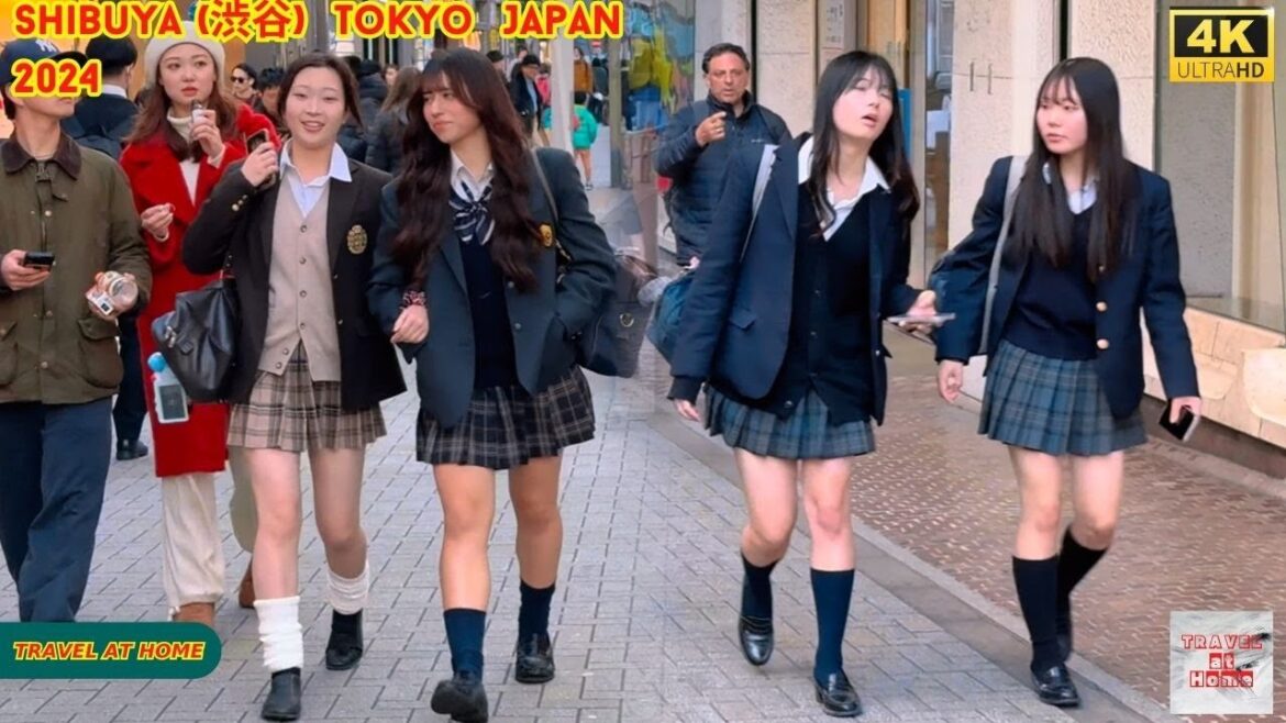 4k hdr Japan travel 2024 | Walk in Shibuya (渋谷) Tokyo Japan | Relaxing Natural City ambience 4k hdr Japan travel 2024 | Walk in Shibuya (渋谷) Tokyo Japan | Relaxing Natural City ambience