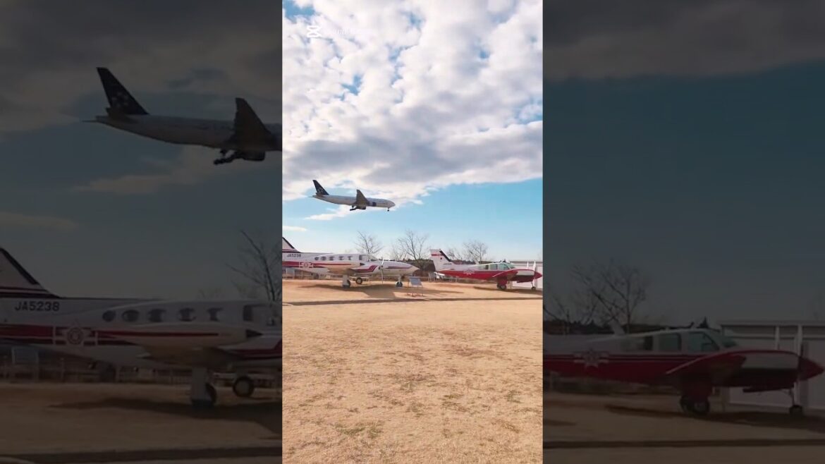 🛫 Narita International Airport Airplane View Spot