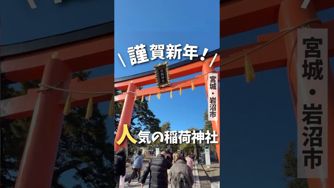 【宮城神社】謹賀新年🎍人気の稲荷神社⛩️#宮城 #神社 #竹駒神社 #岩沼市 #宮城観光 #初詣 #稲荷神社 #japantravel #japantrip #shrine #shorts