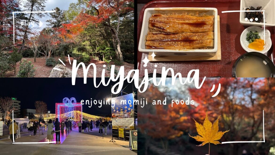Hiroshima || Enjoying momiji in Miyajima Island