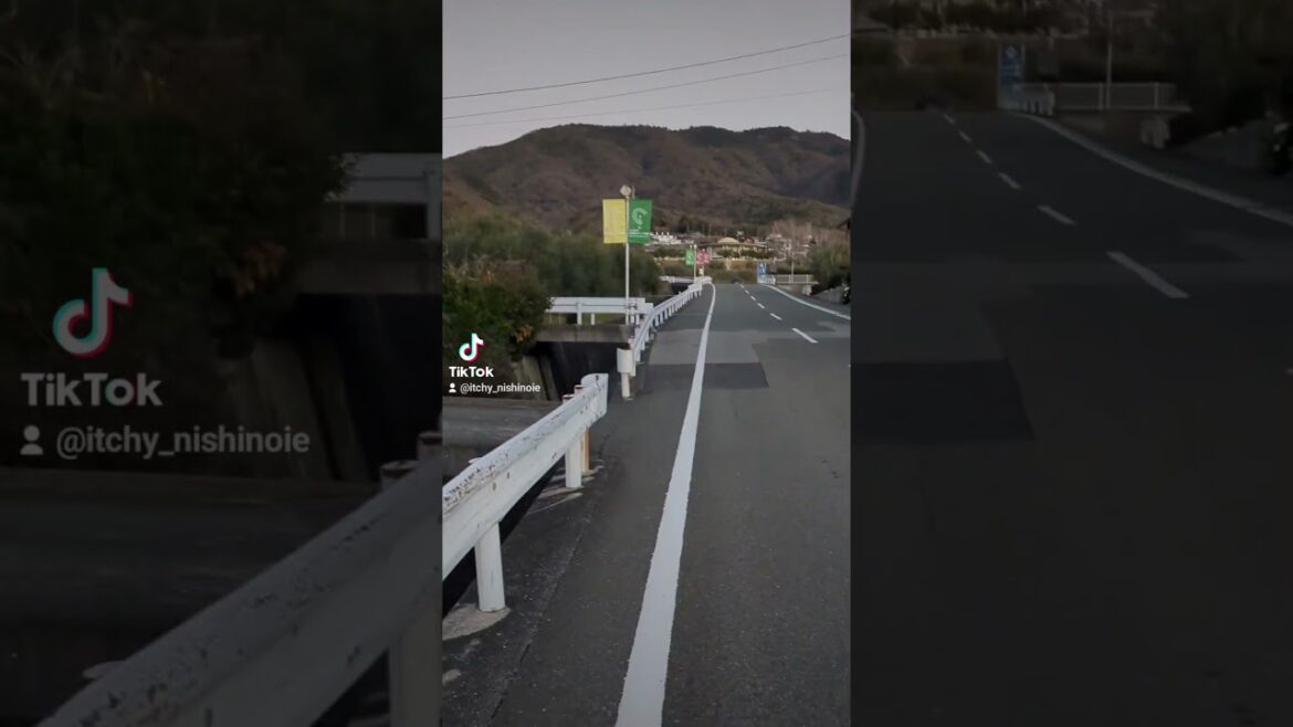 あけましておめでとうございます✨2025年初日の出in小豆島 #2025 #初日の出 #正月 #香川県 #観光