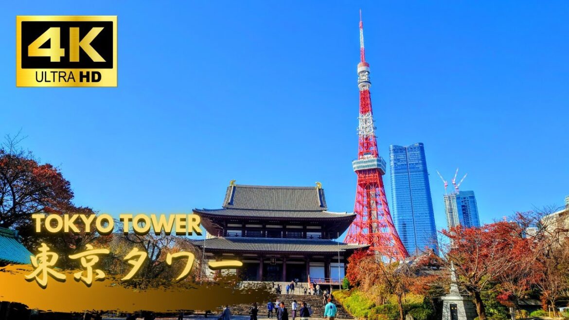 【Walking Tour】Tokyo Tower: one of Japan’s most iconic landmarks 【Walking Tour】Tokyo Tower: one of Japan's most iconic landmarks