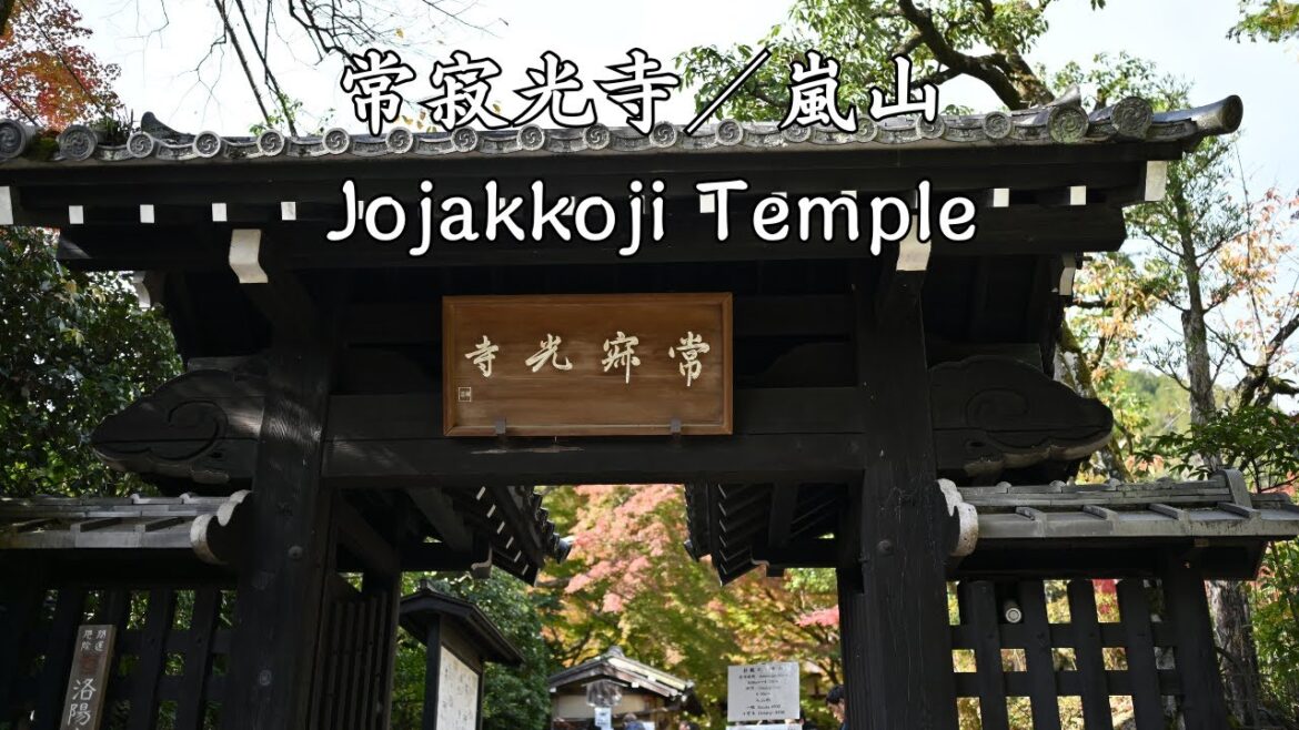 【京都嵐山】常寂光寺の紅葉見頃と嵐山の絶景ポイント｜Jojakkoji Temple　arashiyama walking tour