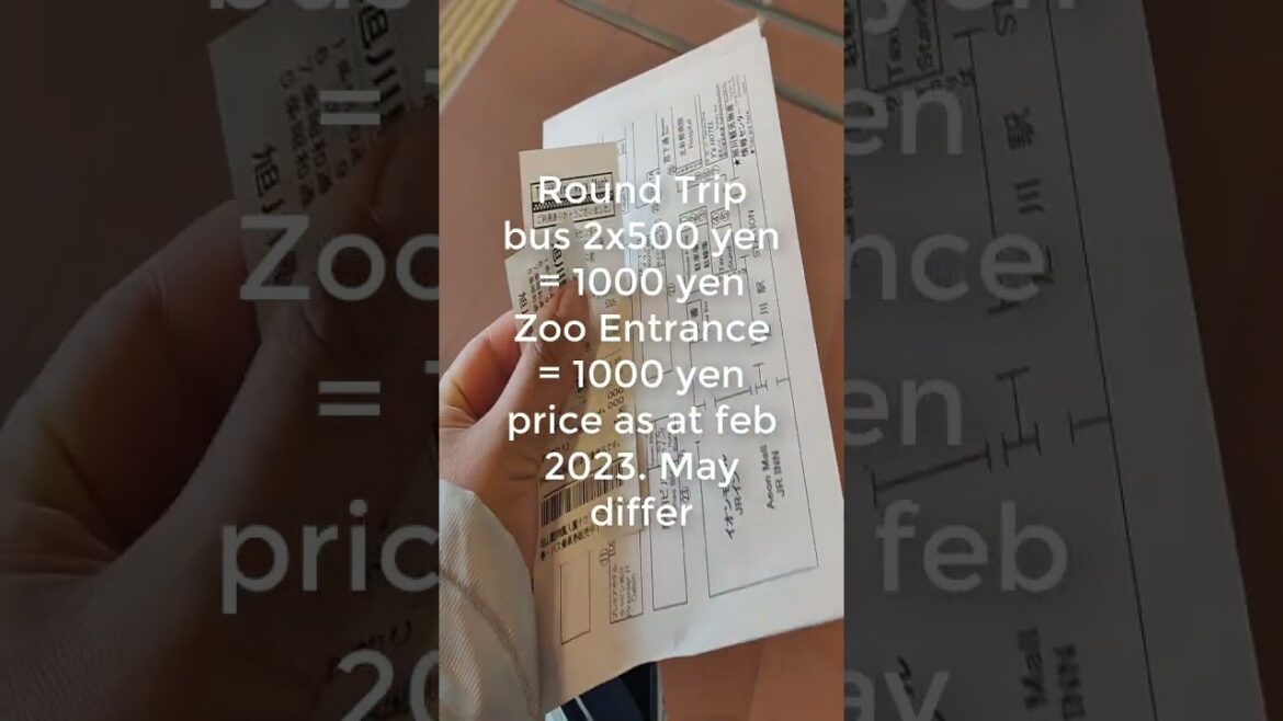 How to get from Asahikawa Station to Asahiyama Zoo? | Where to purchase bus & Zoo Entrance ticket?