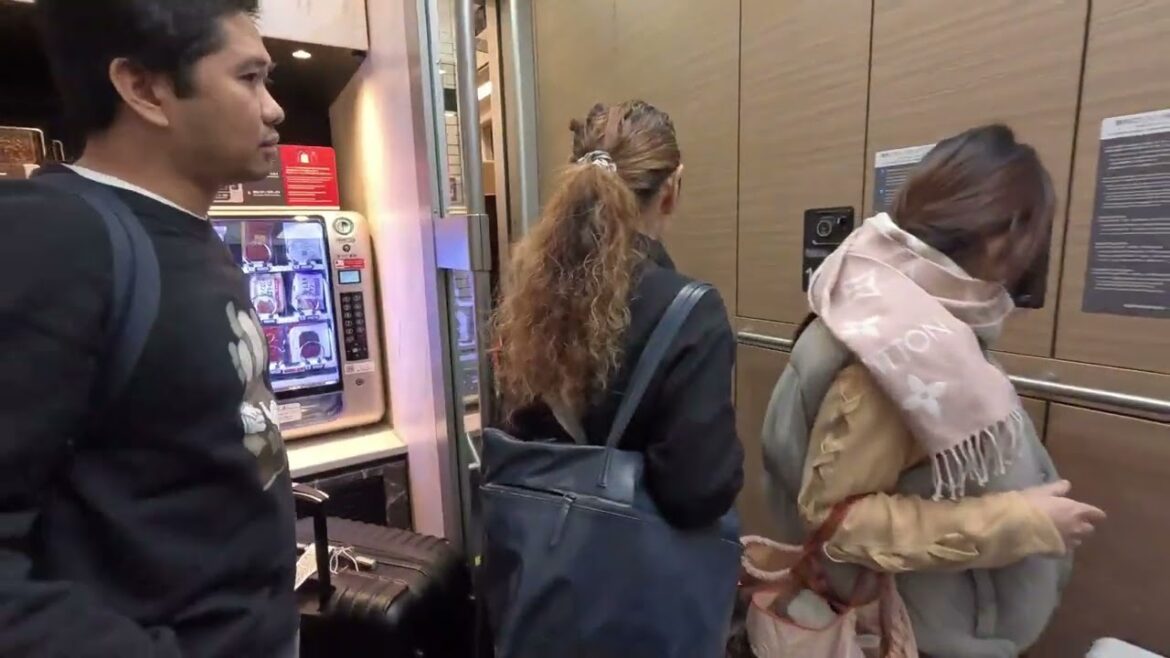 Hinotori Limited Express train trip from Osaka to Nagoya