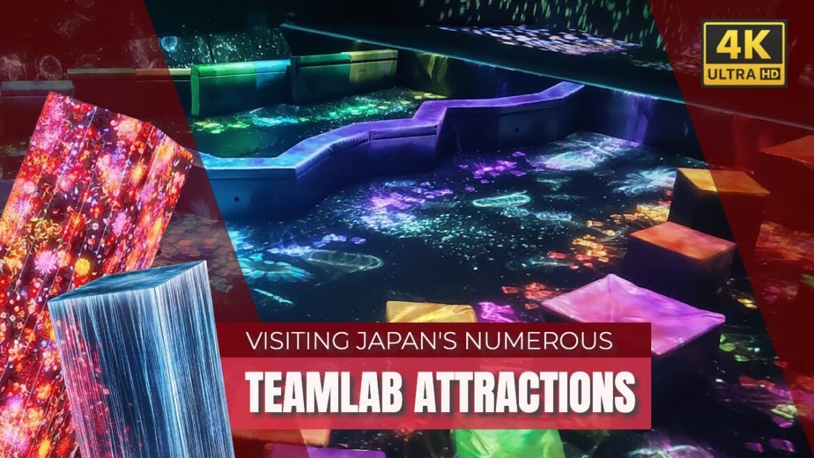 TeamLab Forest in Fukuoka, Botanical Gardens in Osaka and other locations (4K)