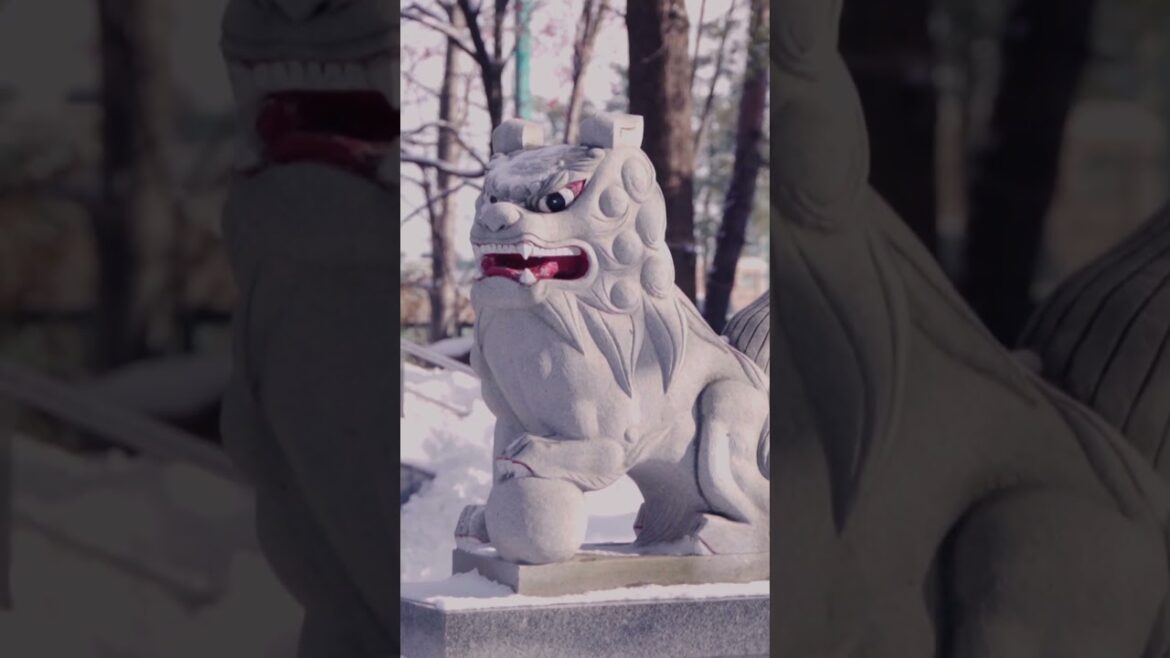 SHINANO JINJA HATSUMOUDE