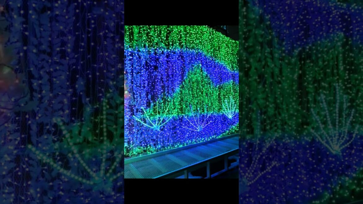 北海道 洞爺湖のイルミネーション＋函館のフェリー（２０１５） #旅