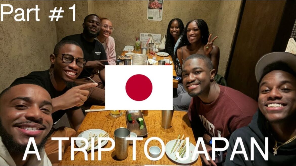 A TRIP TO JAPAN PART 1 – ARRIVING IN TOKYO A TRIP TO JAPAN PART 1 - ARRIVING IN TOKYO