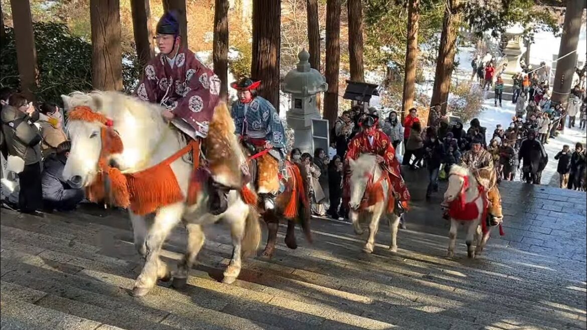 北海道 函館八幡宮 新年騎馬参拝（視聴者お祓い有） 2025.1.2