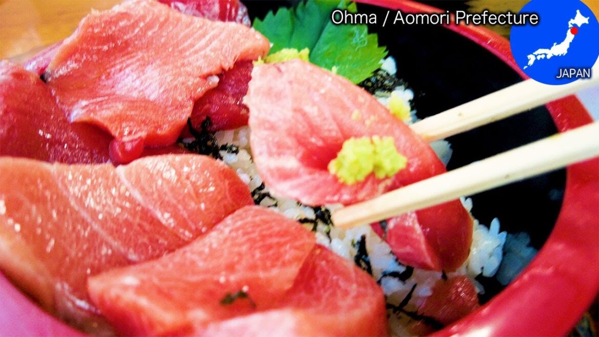Japan Travel🚶|Tuna sashimi bowl, known as the king of tuna|Oma,Aomori #002 Japan Travel🚶|Tuna sashimi bowl, known as the king of tuna|Oma,Aomori #002