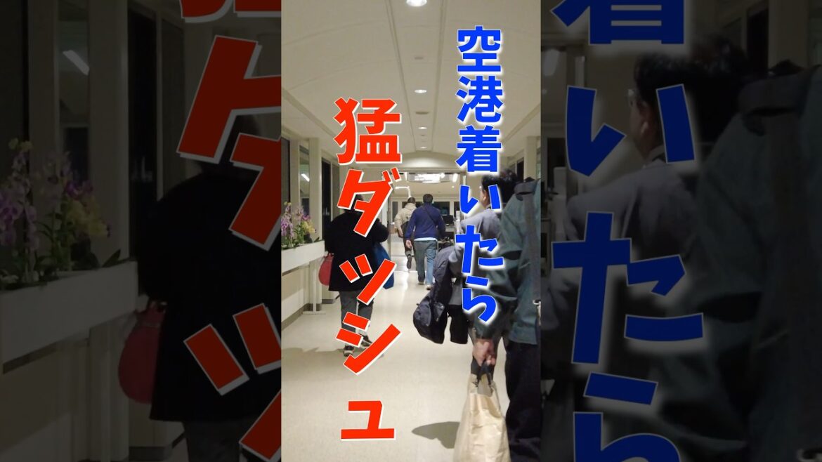 【航空券予約の注意点】最終便に乗る人は気をつけて！羽田発那覇行きの最終フライトで起きること