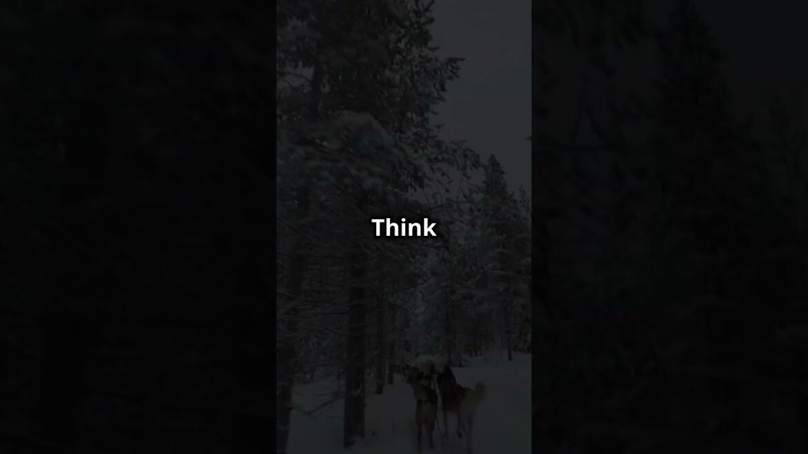 Top 5 Winter Destinations for Snow Lovers Top 5 Winter Destinations for Snow Lovers