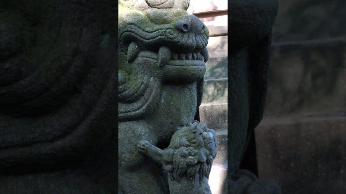 Kyoto but it’s not Kyoto #japantrip #japanlife #trip #kawagoe #vlog #travel #kyoto Kyoto but it's not Kyoto #japantrip #japanlife #trip #kawagoe #vlog #travel #kyoto