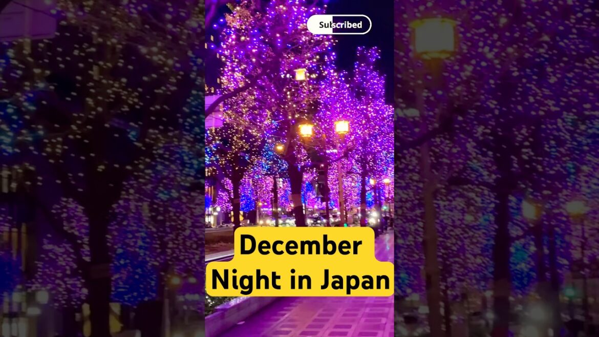 Christmas diya New Year Celebration in Japan 🇯🇵 #christmas #newyear #japan #travel #trending Christmas diya New Year Celebration in Japan 🇯🇵 #christmas #newyear #japan #travel #trending