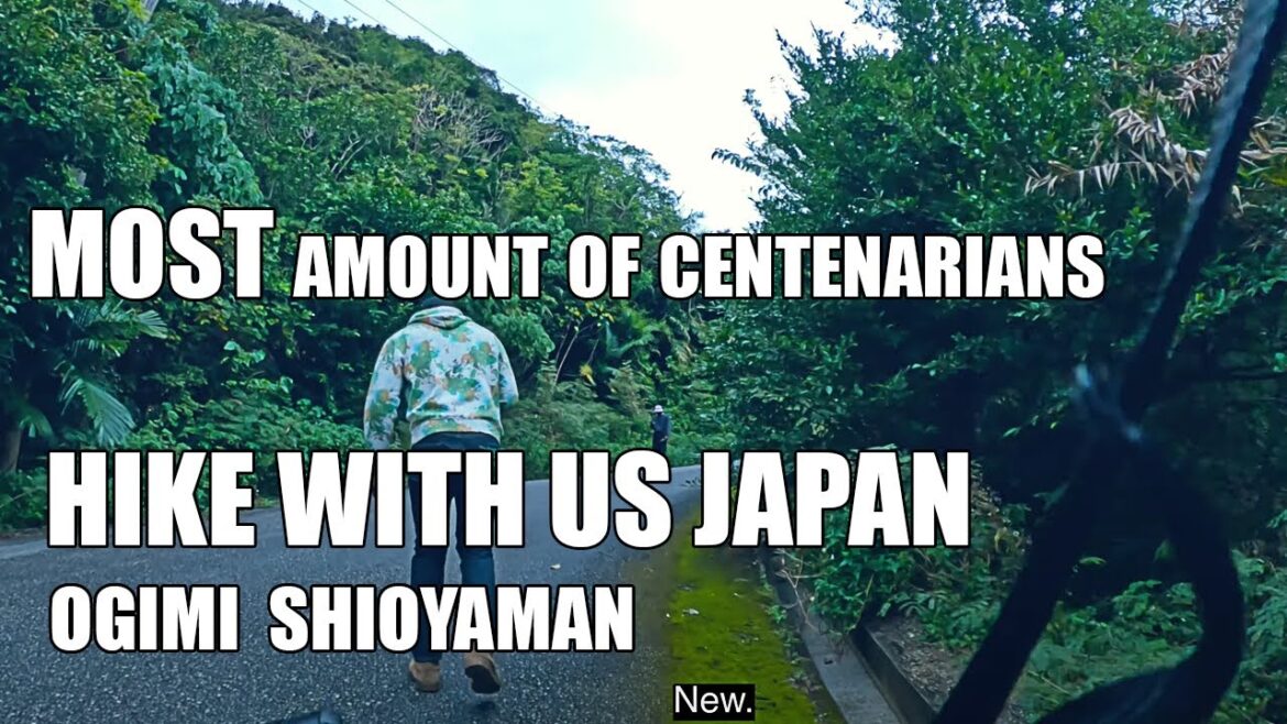 Explore the Scenic Beauty of the Ogimi Trail: A Hiker's Paradise in Okinawa, Japan