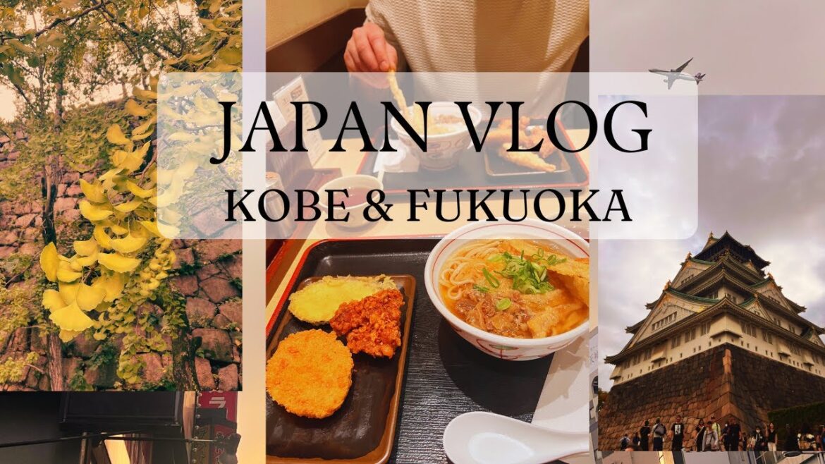 JAPAN SILENT VLOG | KAPITEL 2 | LECKERES ESSEN GENIESSEN – KOBE UND FUKUOKA JAPAN SILENT VLOG | KAPITEL 2 | LECKERES ESSEN GENIESSEN - KOBE UND FUKUOKA