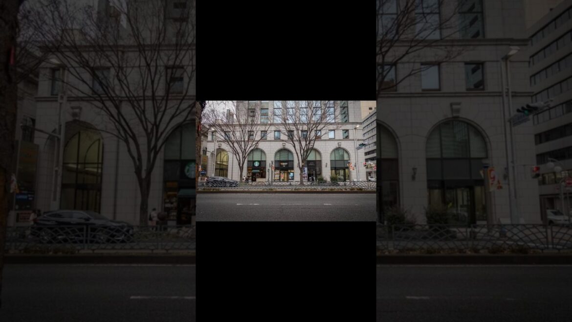 Minute 31 #pov #streetphotography #povphotography #photography #nagoya #japan #名古屋