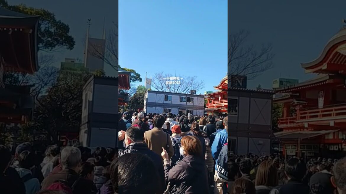 【千葉市】初詣2025!#初詣#shorts_#shortsvideo#千葉神社