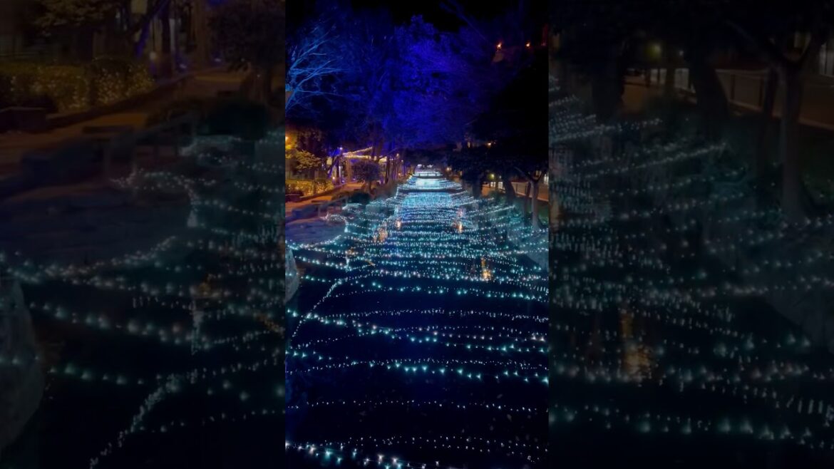 Winter illumination in Okayama 🩵