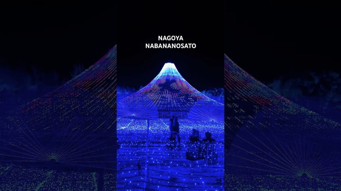 나바나노사토 일루미네이션 #nagoya #travel #illumination #나고야 #일본여행  #일본온천