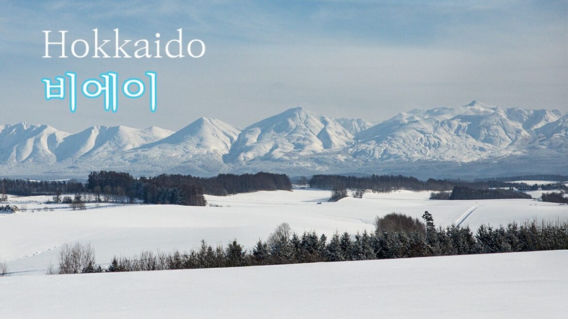 [4K] 홋카이도 눈물나는 대자연 비에이 후라노투어, 같이 울어 보시죠