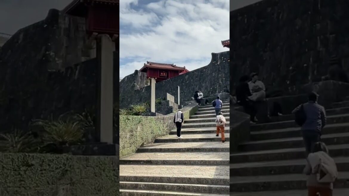 ②Stroll around Shurijo Castle Park, a world heritage site(世界遺産の首里城を散策)