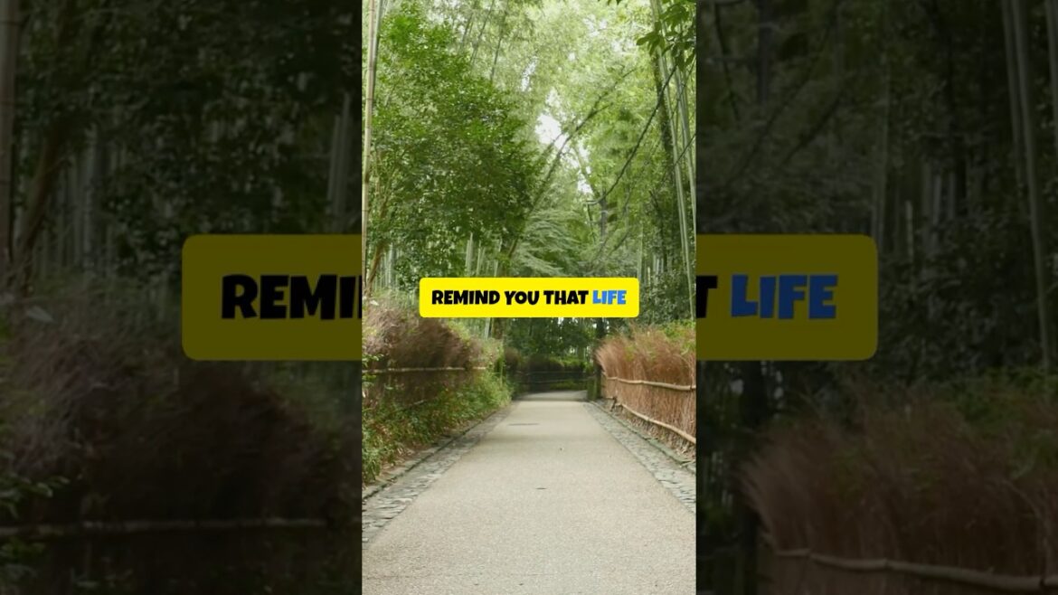 Discover Japan's Unexpected Treasures: Beyond the Tourist Traps. #travel