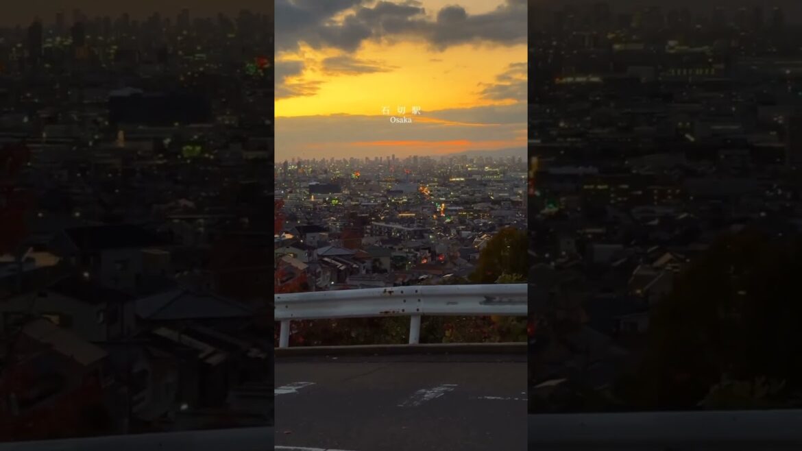 📍Osaka 🇯🇵 #nature #naturelovers #japan #japanese #japantravel #osaka #autumn #sunset