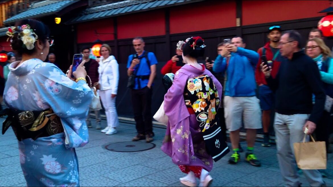 秋の京都!外国人観光客でにぎわう夕暮れ~夜の祇園花見小路と美しい舞妓さんたちのあいさつ回りに感動!海外の反応 秋の京都!外国人観光客でにぎわう夕暮れ~夜の祇園花見小路と美しい舞妓さんたちのあいさつ回りに感動!海外の反応
