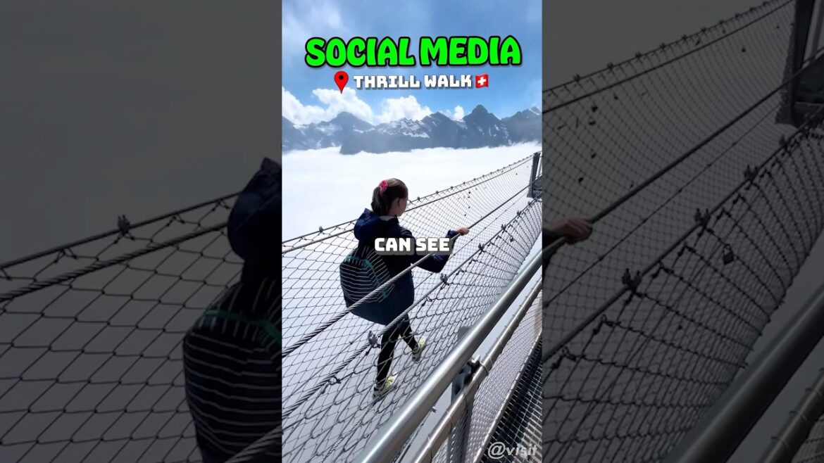 Last One is SHOCKING 😨