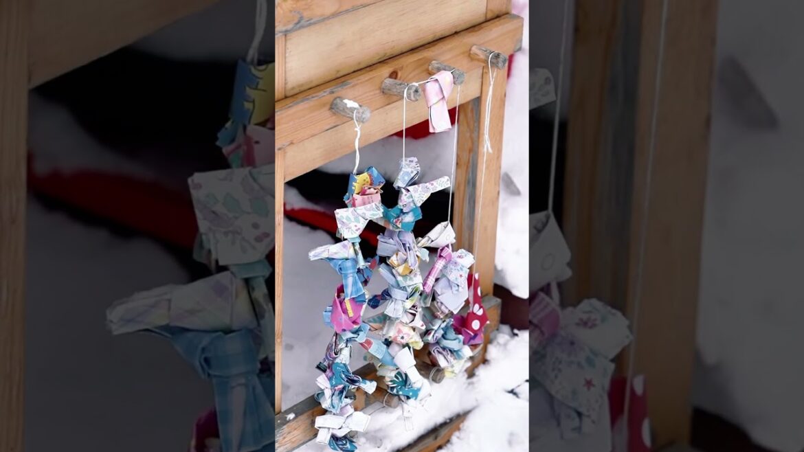 Welcome to Otaru—a charming town straight out of a storybook ✨❄️ #hokkaido #japan