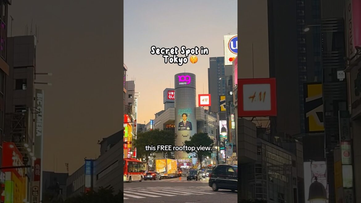 Only 🇯🇵 locals know this place